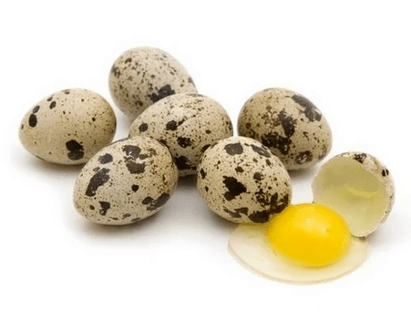 Quail egg